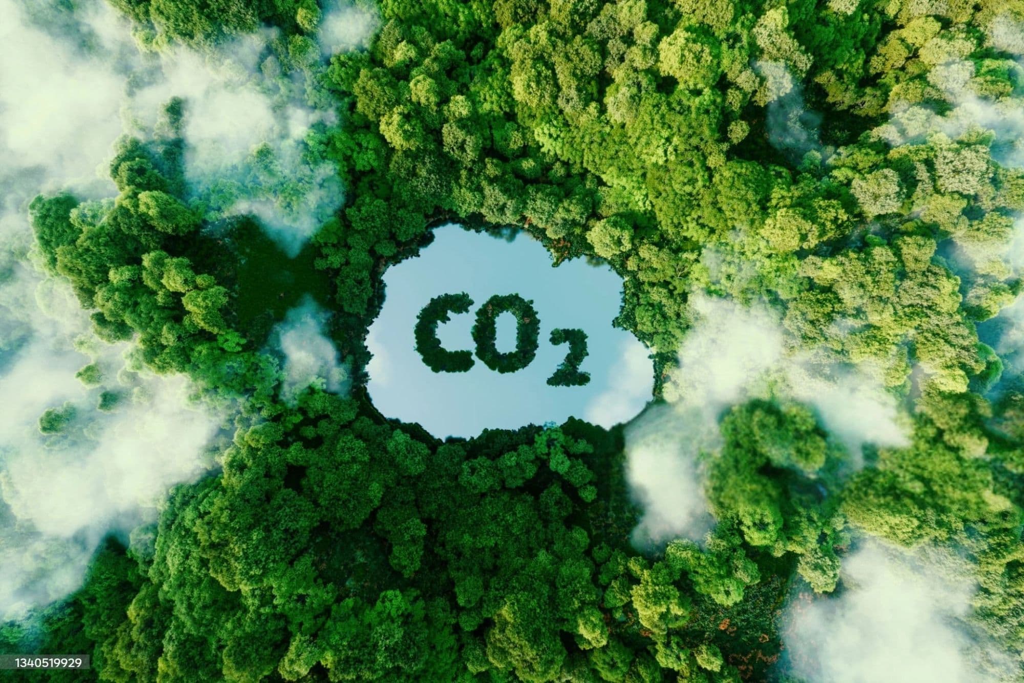 Forest shaped as a CO2 symbol, evoking carbon credits